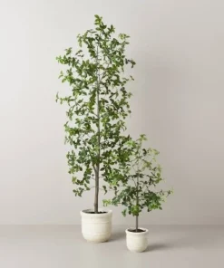 Hearth & Hand With Magnolia 72" Faux Gypsophila Leaf Tree - Hearth & Hand™ with Magnolia -Hearth Shop GUEST 161d871e a895 48ff bd75 5f20b0cf8d3e 1
