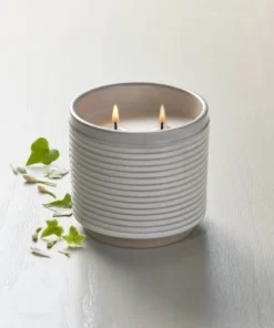 Hearth & Hand With Magnolia 2-Wick Ribbed Ceramic Ivy Jar Candle Light Gray 12oz - Hearth & Hand™ with Magnolia