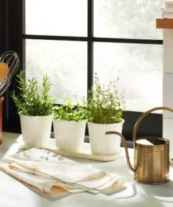 Hearth & Hand With Magnolia 1L Accented Metal Watering Can Brass Finish - Hearth & Hand™ with Magnolia