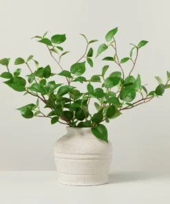 Hearth & Hand With Magnolia Faux Dogwood Leaf Arrangement - Hearth & Hand™ with Magnolia 10 Hearth & Hand With Magnolia Faux Dogwood Leaf Arrangement - Hearth & Hand™ with Magnolia -Hearth Shop GUEST 8eb3b387 a26f 452d 87c0 521eb0a3490c