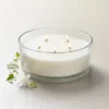 Hearth & Hand With Magnolia 5-Wick Clear Glass Ivy Knob-Lid Jar Candle 28oz - Hearth & Hand™ with Magnolia