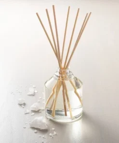 Hearth & Hand With Magnolia 11.83 fl oz Salt Oil Reed Diffuser - Hearth & Hand™ with Magnolia